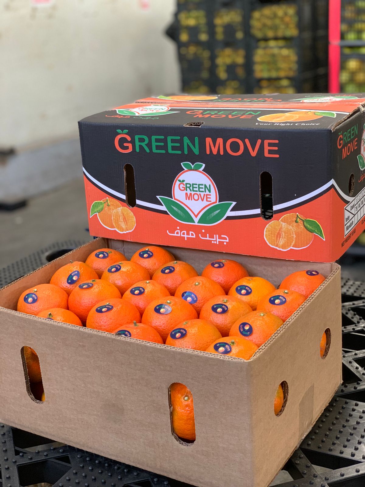 Packhouse Operations