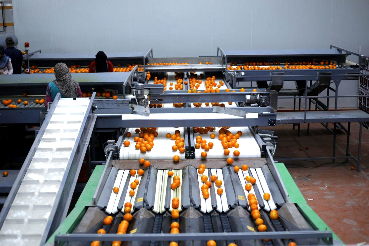 GREEN MOVE Packhouse Facility